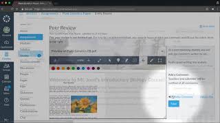 Peer Reviews Canvas Tutorial Video Series [upl. by Teews]