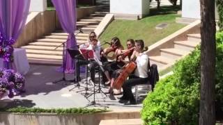 Kissing You  Desiree  QN String Quartet [upl. by Anirdnaxela]