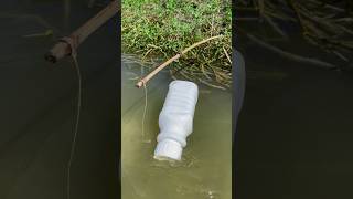 Amazing bottle fishing trap by hook fishing bigfish shorts [upl. by Gilbert]