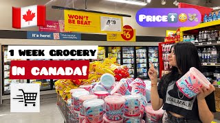 WEEKLY GROCERY SHOPPING IN CANADA 2024🇨🇦NO FRILLS CANADA Monthly expenses😳😢 shorts viral [upl. by Mun]