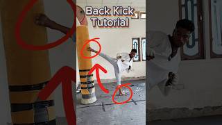 Back Kick Tutorial 🔥 I need to support 🙏tutorial boxing martialarts shorts taekwondo [upl. by Strait]