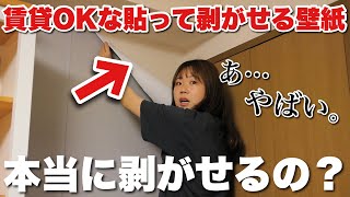 【高額退去費⁉︎】2年前に貼った賃貸でもOKな剥がせる壁紙を剥がしてみたら大変なことになった日 [upl. by Iohk]