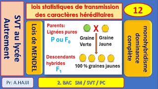 lois statistiques de MENDEL  monohybridisme  dominance complète [upl. by Akoek54]