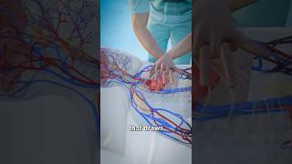 Cardiopulmonary resuscitation drrabiaarshad cardiopulmonaryresuscitation viral shorts [upl. by Lalla]