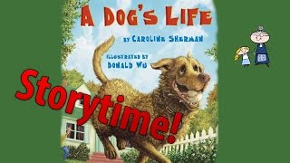 Storytime  A DOGS LIFE  StoryTime  Bedtime Story Read Aloud Books [upl. by Ruthanne]