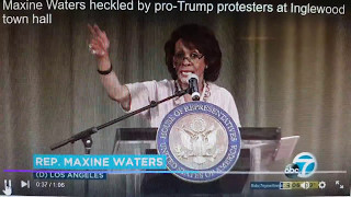 Maxine Waters Heckled by protrump Protester at Inglewood Town Hall [upl. by Babbie154]