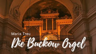 Die Buckow Orgel in Maria Treu [upl. by Ihab545]