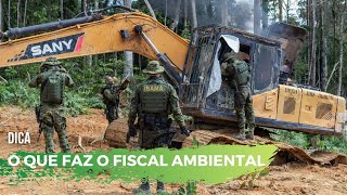 O QUE FAZ O FISCAL AMBIENTAL [upl. by Grissom]