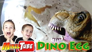 Sorprendente Dino Egg cria de Dinosaurio Gigante en Mikel Tube [upl. by Bigford458]