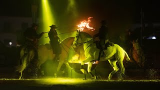 Golegã Horse Fair 2021 [upl. by Stavro]