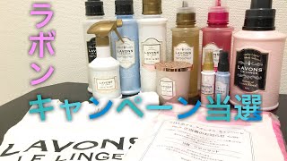 【ラボンキャンペーンまた当選】僕が使ってるLAVONSの洗剤とかの紹介。 [upl. by Latty]