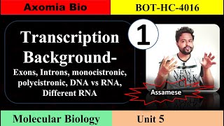 Transcription background cistron DNARNA  Unit 5  Class 1  Axomia Botany  BOTANY MAJOR GU [upl. by Winton]