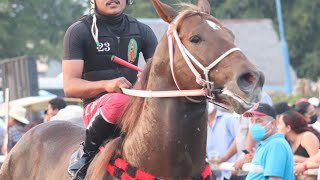 EL REGALO VS EL TEXANO  TIERRA BLANCA VER [upl. by Ahsieym]