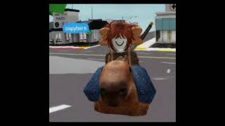 Capybara roblox brookhaven [upl. by Animehliw]