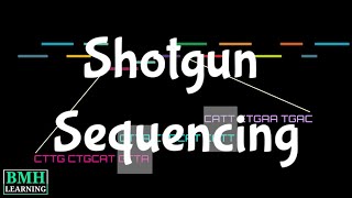 Shotgun Sequencing  Heirarchial Shotgun Sequencing  Whole Genome Shotgun Sequencing [upl. by Kola]