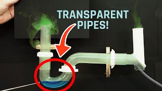 How Do PTraps Work 5 Drain Issues to Watch Out For [upl. by Jez]