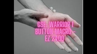 GSE EZ Warrior 1 Button macro to get Elite PVP [upl. by Oiromed]