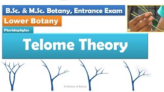 Telome theory  Pteridophytes  BSc and MSc Entrance Exam [upl. by Osnofledi111]