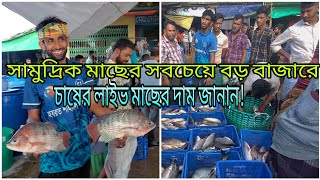 ফিশারী ঘাটে বর্তমানে চাষের লাইভ মাছের দাম কম। Fishery Ghat  Live FishChattogram [upl. by Sperling315]