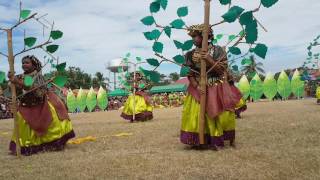 Patimyas ani festival 2017 CASANOVA ELEMENTARY SCHOOL [upl. by Cyn624]