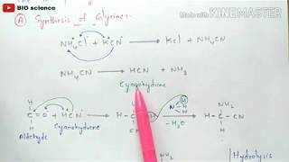 Strecker synthesis  Synthesis of Glycine Alanine valine and Leucine  Synthesis of aminoacids [upl. by Shiff573]