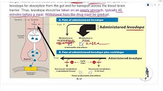 Antiparkinsonian drugs [upl. by Jamilla]