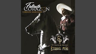 Fallaste Corazon Version Mariachi [upl. by Arlin252]