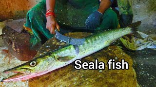 seala fish cutting video very tasty 😋 fish and soft fish fishcuttingsk [upl. by Aehtna]