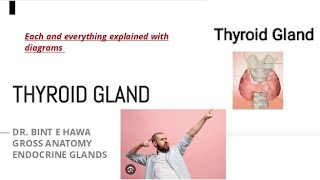 THYROID GLAND ANATOMY COMPLETE WITH DIAGRAMS ENDOCRINE MODULE [upl. by Akemrehs]