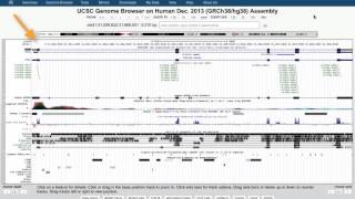 IIHG Intro to the UCSC Genome Browser  Part 1 of 5 [upl. by Ehman]