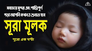 Surah AlMulk for 1 hour  সূরা মুলক বাংলা অনুবাদ  কুরআন তেলাওয়াত [upl. by Ahteral454]