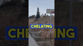 Find Chelating Pills IMMEDIATELY 💊 [upl. by Fawna]