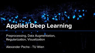 Applied Deep Learning 2024  Lecture 9  Preprocessing Augmentation Regularization Visualization [upl. by Killen120]