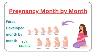 Pregnancy month by month  fetus develop month by month [upl. by Adna]