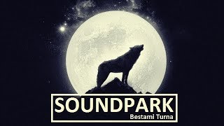 Bestami Turna  Soundpark November 2017 [upl. by Ethbinium503]