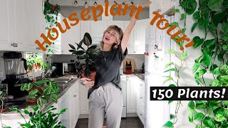 Houseplant Tour 2020  150 plants in my small home rare and common [upl. by Bocock]