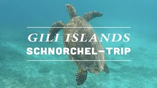 Gili Islands Indonesien Schnorcheln mit Schildkröten 🐢 [upl. by Odlaniger]