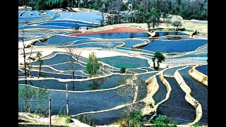 中國最美的梯田 雲南 元陽哈尼梯田 The most beautiful rice terrace in China [upl. by Tala]