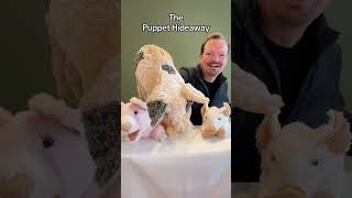 Puppet of the Day  Grunting Pig by Folkmanis Puppets  The Puppet Hideaway with Eric Thomsen [upl. by Nnylesor]