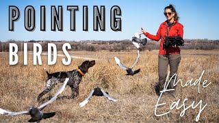 Pointing Birds  Upland Bird Dog Training [upl. by Odnanreh]