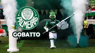 Novo Mascote do Palmeiras Porco Gobatto e Periquito  Loja do Mascote [upl. by Schapira766]