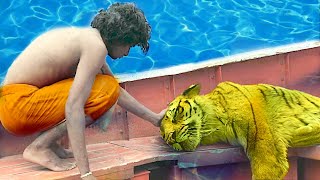 Life of Pi 2012 Movie Explained in HindiUrdu  Life Of Pi Full Summarized हिन्दी [upl. by Nomyaw]