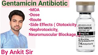 Gentamicin Antibiotic  Aminoglycoside  Mechanisms Of Action Dose  Route Side Effectsmedical [upl. by Oninotna]