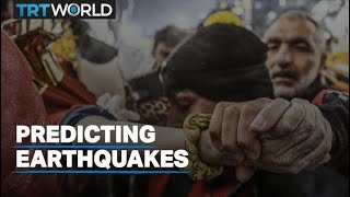 Can we use scientific methods to predict earthquakes before they occur [upl. by Baalbeer]