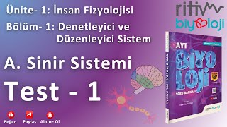 Test – 1 – Nöron Yapısı ve Çeşitleri [upl. by Korry46]