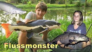 FLUSSMONSTER  Angeln auf Welse und andere XL Fische mit speziellen Montagen  Lago River Monsters [upl. by Slaby]