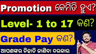 Odisha Govt Salary Structure 🔥What is LevelPay ScalesGrade Pay ଚାକିରୀ କଲେ କେତେ ଦରମା ପାଇବେ [upl. by Vipul88]