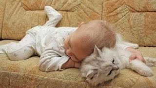 Adorable Cats and Babies Cuddling  Babies Love Cats Compilation [upl. by Yendys]