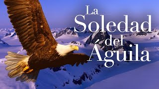 La soledad del águila [upl. by Berkow111]