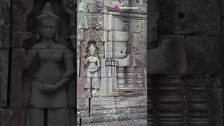 quotDid you knowquotDiscover the Secrets of Angkor Wat facts generalknowledge [upl. by Arytahs]